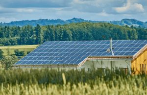 Rooftop vs. Ground-Mounted_ Which Solar Panel is Right for Your Business_