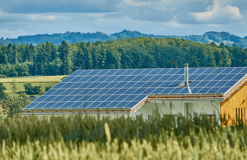 Rooftop vs. Ground-Mounted_ Which Solar Panel is Right for Your Business_