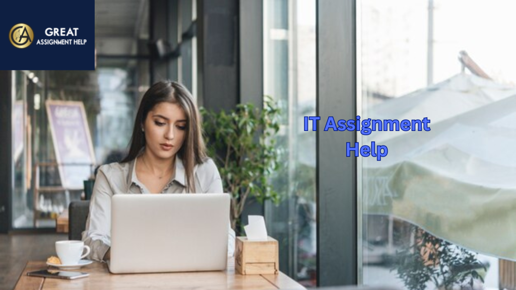 IT Assignment Help